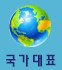 국가대표